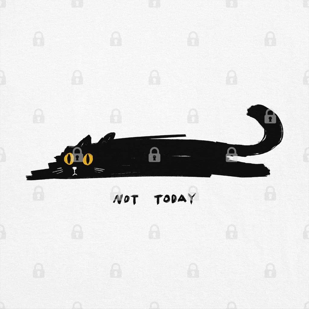 Not Today Cat T-Shirt Hoodie, Sweatshirt | CiraTrend.com (Image 1)