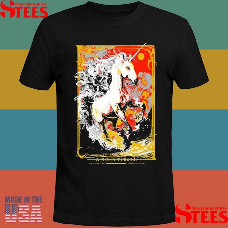 A Perfect Circle 2025 Concert Tour Ridgefield WA June 6 2025 T-shirt