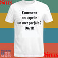 Comment On Appelle Un Mec Parfait, David Shirts