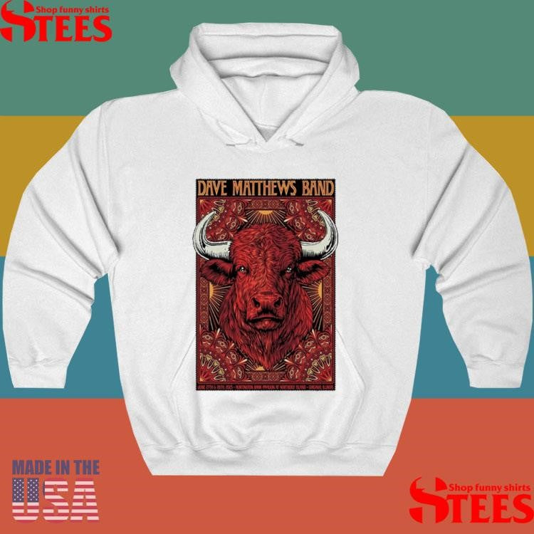 Dave Matthews Band Tour Chicago, Illinois June 27 + 28 2025 Buffalo T-shirt