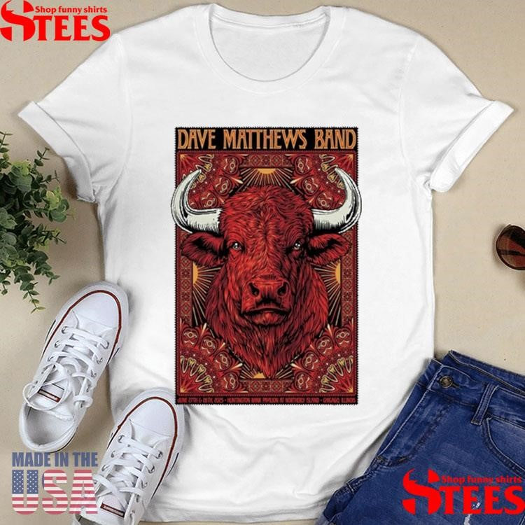 Dave Matthews Band Tour Chicago, Illinois June 27 + 28 2025 Buffalo T-shirt