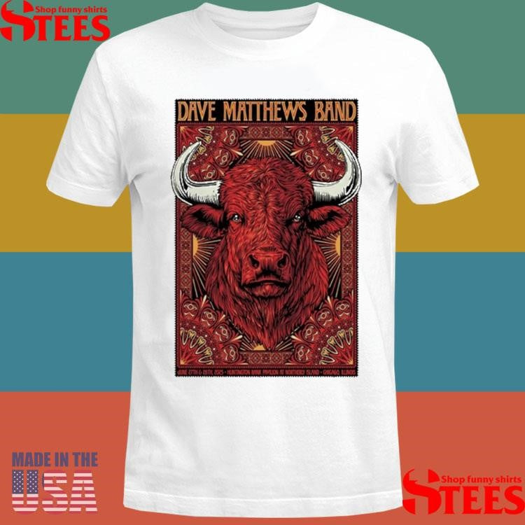 Dave Matthews Band Tour Chicago, Illinois June 27 + 28 2025 Buffalo T-shirt