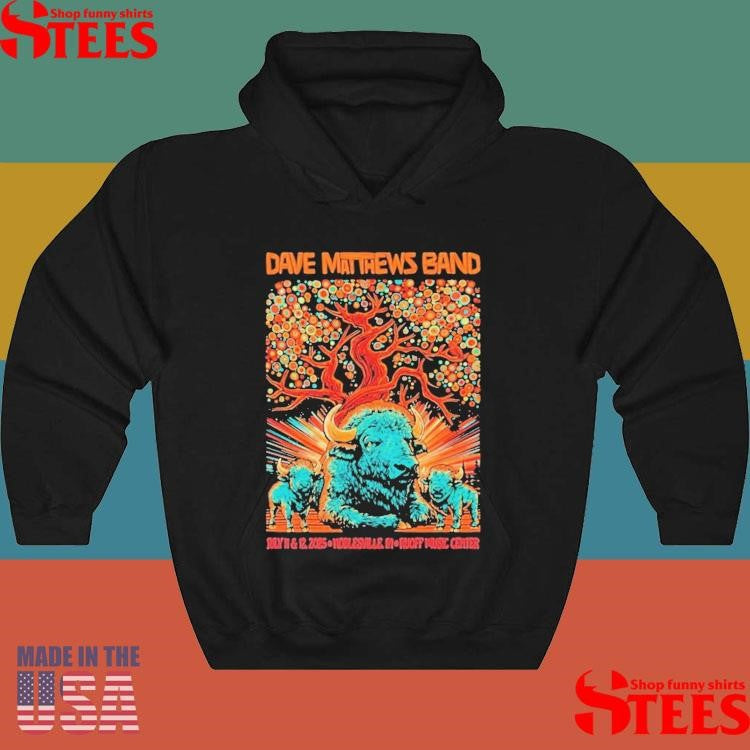 Dave Matthews Band Tour Noblesville, Indiana July 11 & 12 2025 Buffalo T-shirt