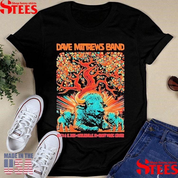 Dave Matthews Band Tour Noblesville, Indiana July 11 & 12 2025 Buffalo T-shirt