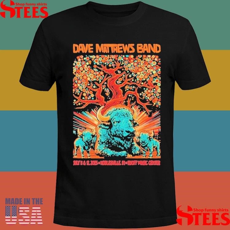 Dave Matthews Band Tour Noblesville, Indiana July 11 & 12 2025 Buffalo T-shirt