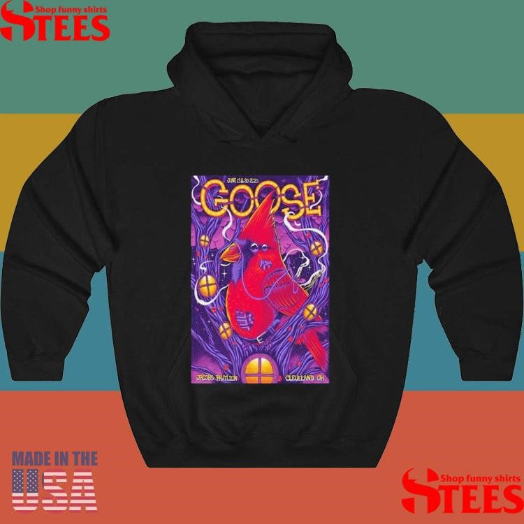 Goose At Jacobs Pavilion Cleveland Oh On June 19-20 2025 T-shirt
