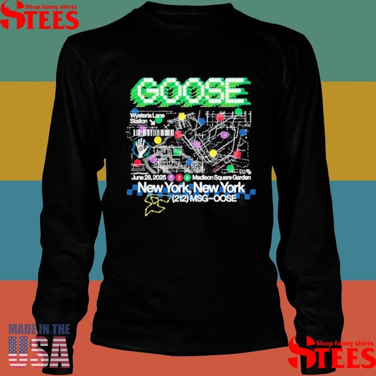 Goose June 28, 2025 Madison Square Garden