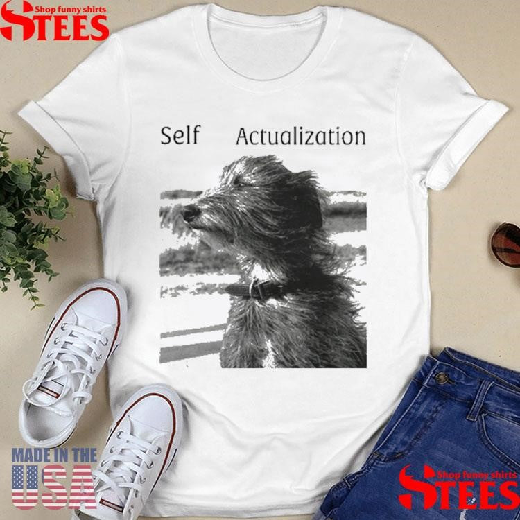 Henry Johnson Self Actualization Shirts