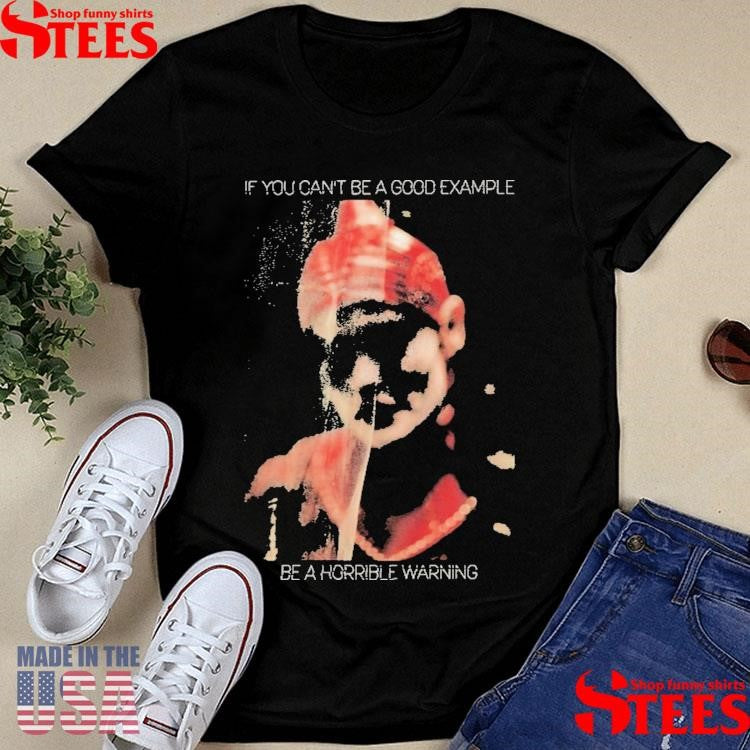 Skynd If You Can’t Be A Good Example Be A Horrible Warning Aileen Shirts
