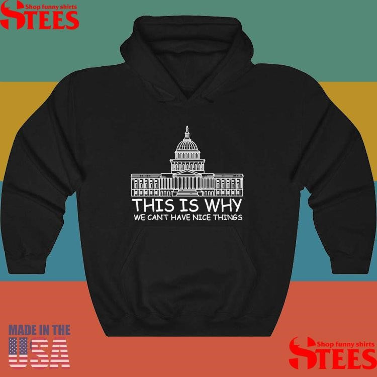 This Is Why We Can’t Have Nice Things T-shirt