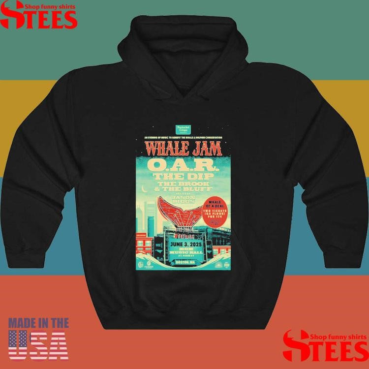 Whale Jam The Dip And The Brook & The Bluff Boston, Ma June 03 2025 Tour Shirts