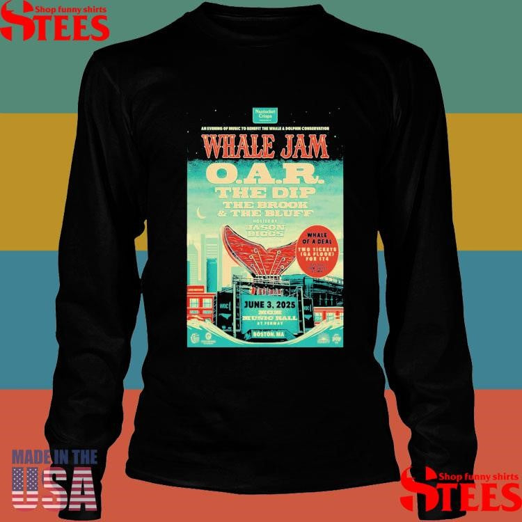 Whale Jam The Dip And The Brook & The Bluff Boston, Ma June 03 2025 Tour Shirts