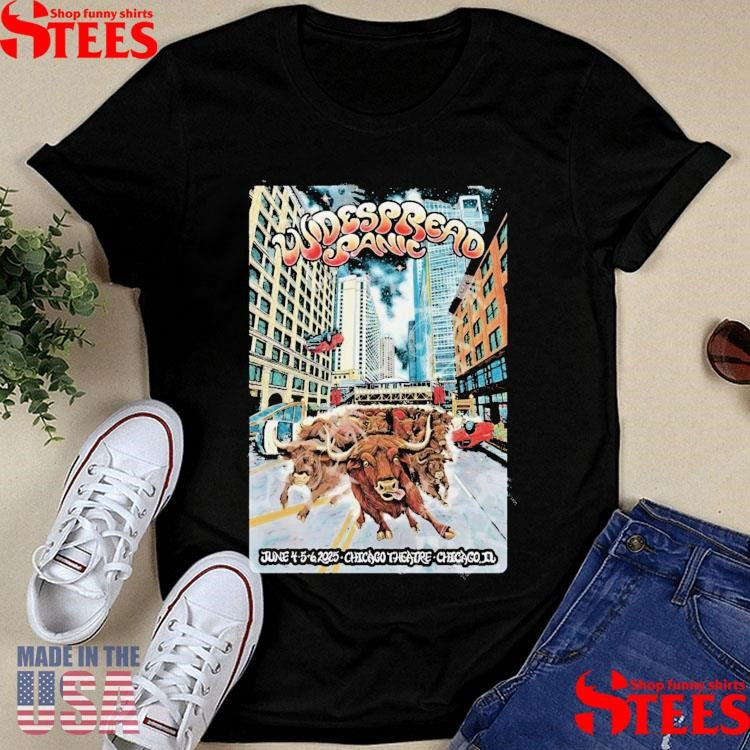 Widespread Panic In Chicago Il On June 4-6 2025 Tour Shirts