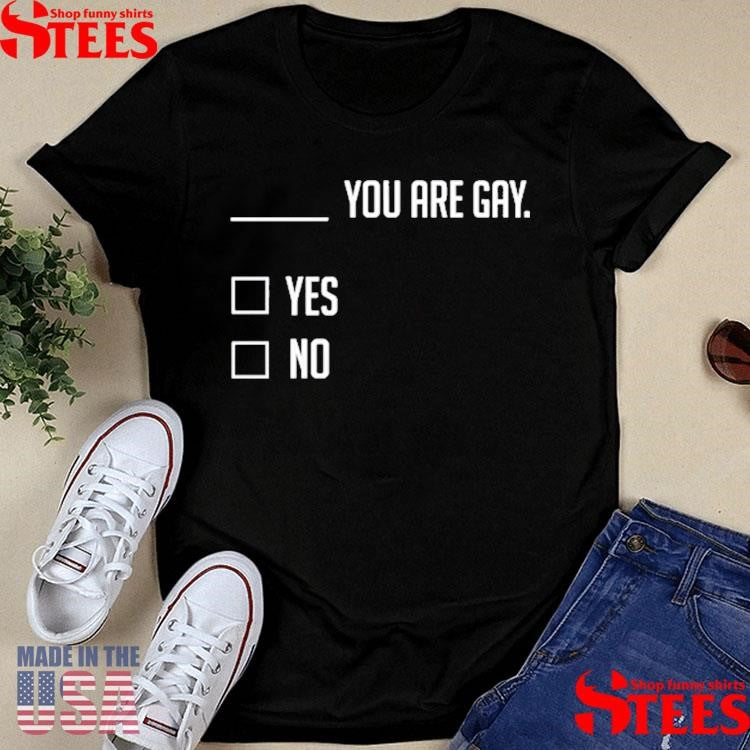 You Are Gay Yes No T-shirt