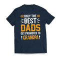 Only The Best DADS Are Promoted To GRANDPA Father's Day Men's T-Shirt Casual Classic Hoodie, Sweatshirt | CiraTrend.com