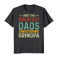 Only The Greatest Dads Get Promoted To Grandpa T-Shirt Casual Crewneck Hoodie, Sweatshirt | CiraTrend.com