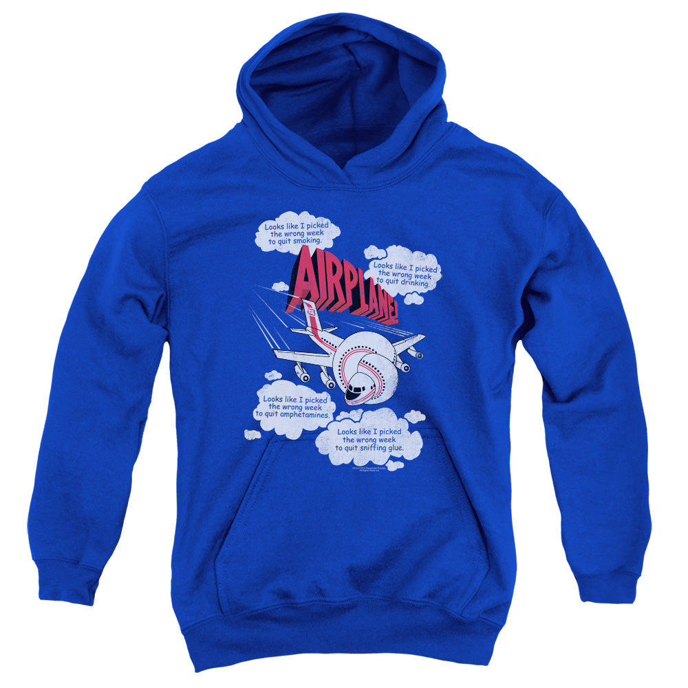 Airplane! Picked The Wrong Day Kids Youth Hoodie Royal Blue T-Shirts, Sweatshirt | CiraTrend.com