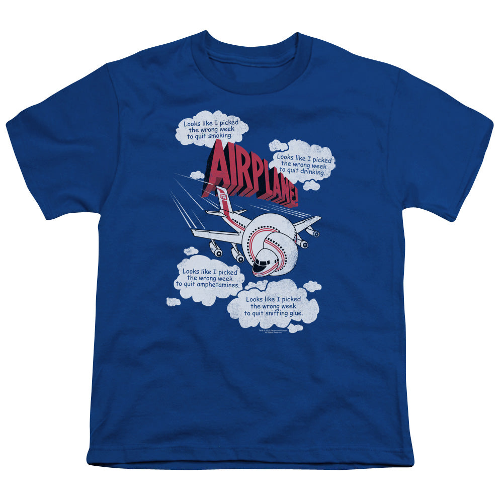 Airplane! Picked The Wrong Day Kids Youth T Shirt Royal Blue Hoodie, Sweatshirt | CiraTrend.com