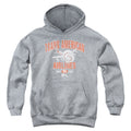 Airplane! Trans American Kids Youth Hoodie Athletic Heather T-Shirts, Sweatshirt | CiraTrend.com