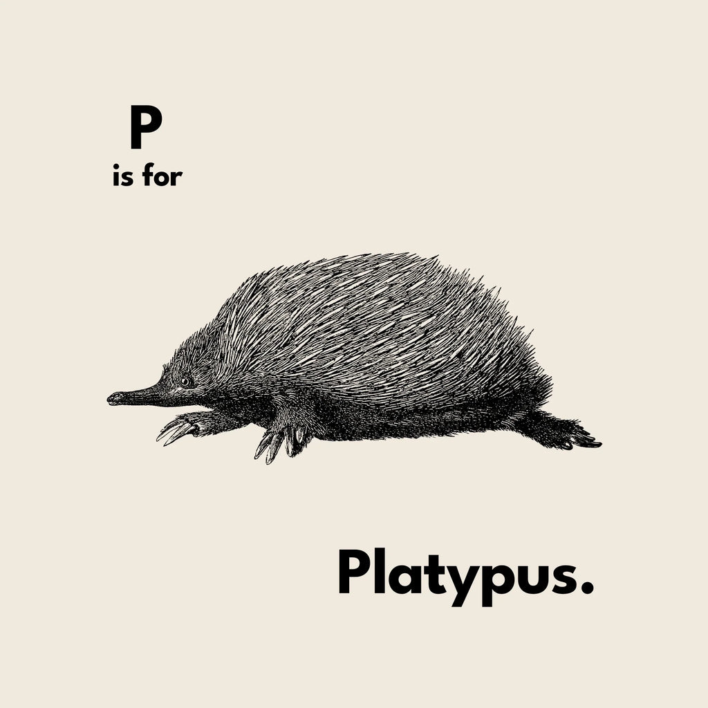 P Is Platypus T-Shirts, Hoodie, Sweatshirt