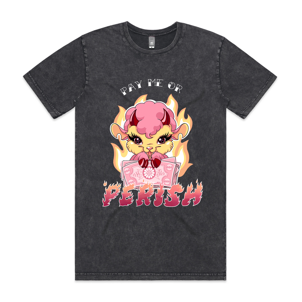 Pay Me Or Perish Tee Hoodie, Sweatshirt | CiraTrend.com (Image 2)