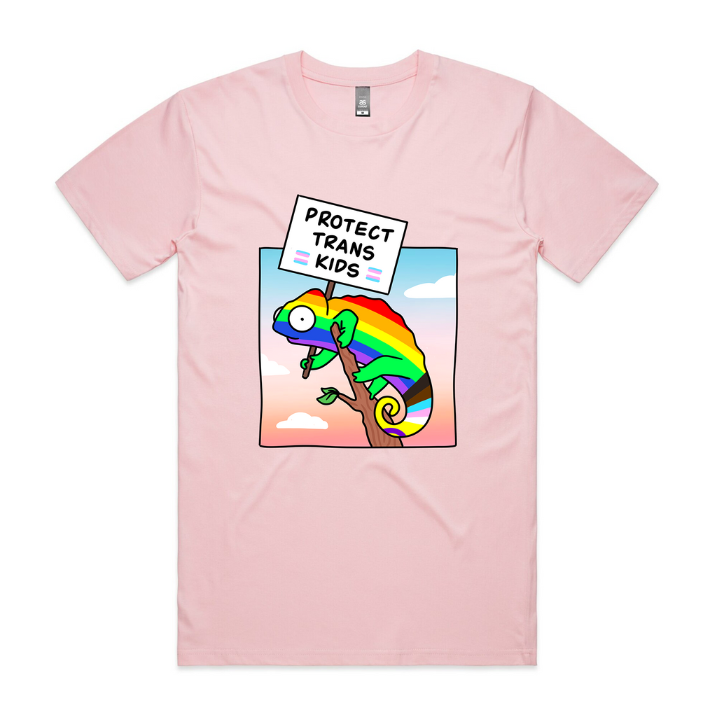 Protect Trans Kids Tee Hoodie, Sweatshirt | CiraTrend.com (Image 3)