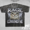 Rage Consumes Me Cat Shirt, Funny Cat Meme T-Shirt, Vintage Unhinged Cat Tee, Silly Cat Graphic Tee, Weird Humor Unisex...