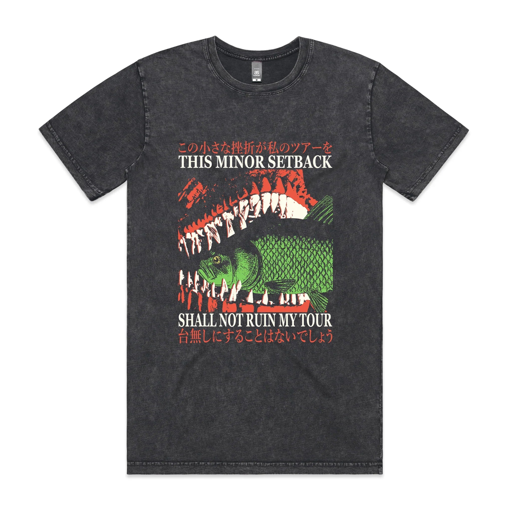 Ruin My Tour Tee Hoodie, Sweatshirt | CiraTrend.com (Image 2)