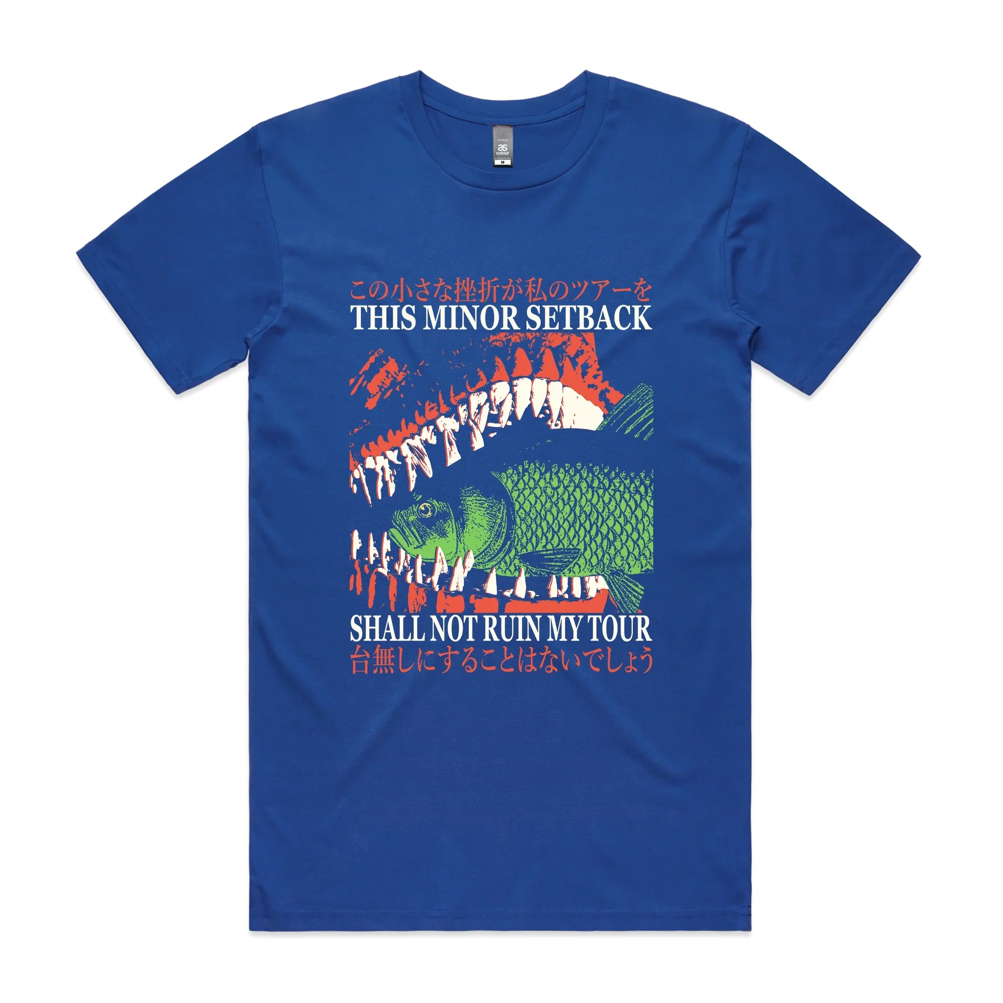 Ruin My Tour Tee Hoodie, Sweatshirt | CiraTrend.com (Image 3)