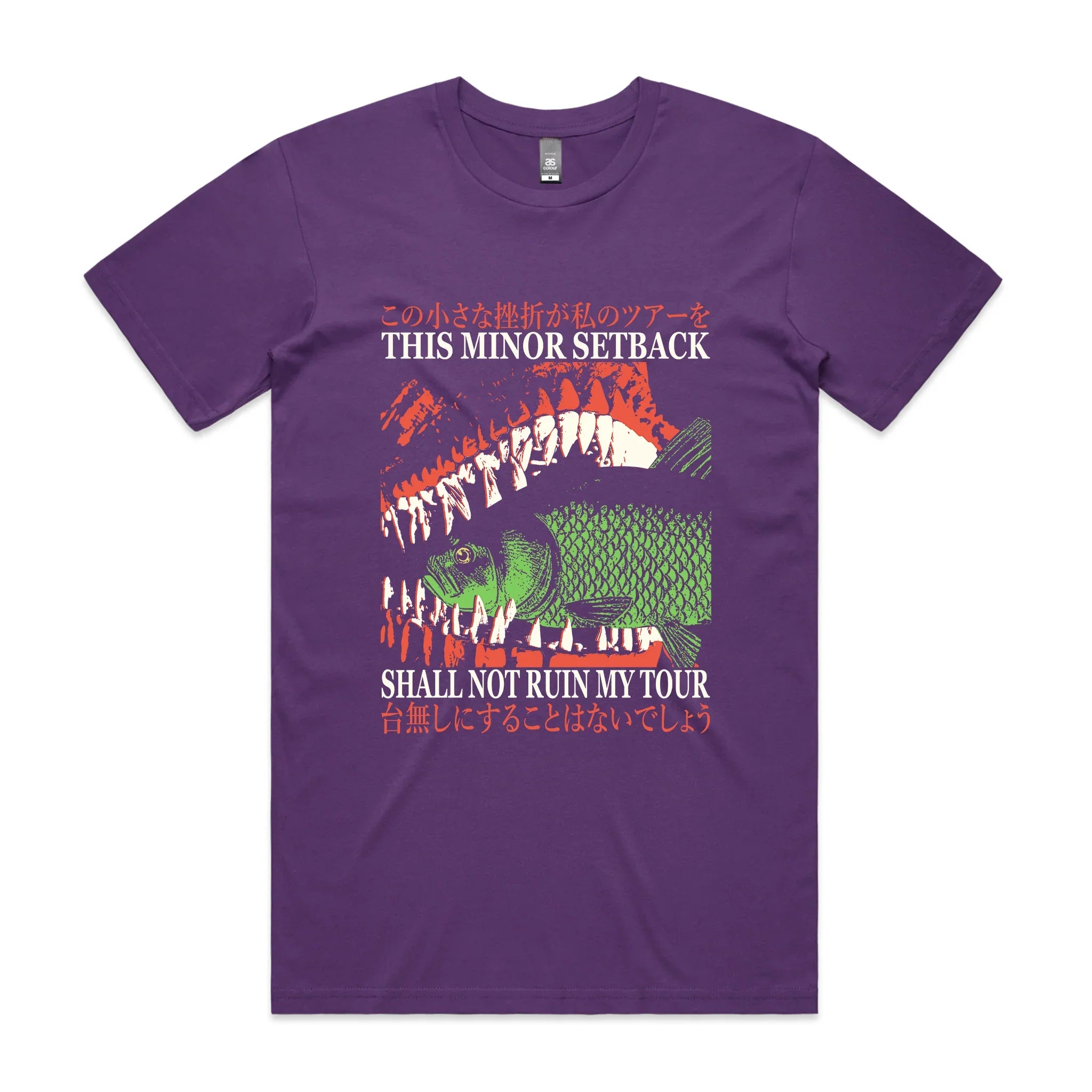 Ruin My Tour Tee Hoodie, Sweatshirt | CiraTrend.com (Image 5)