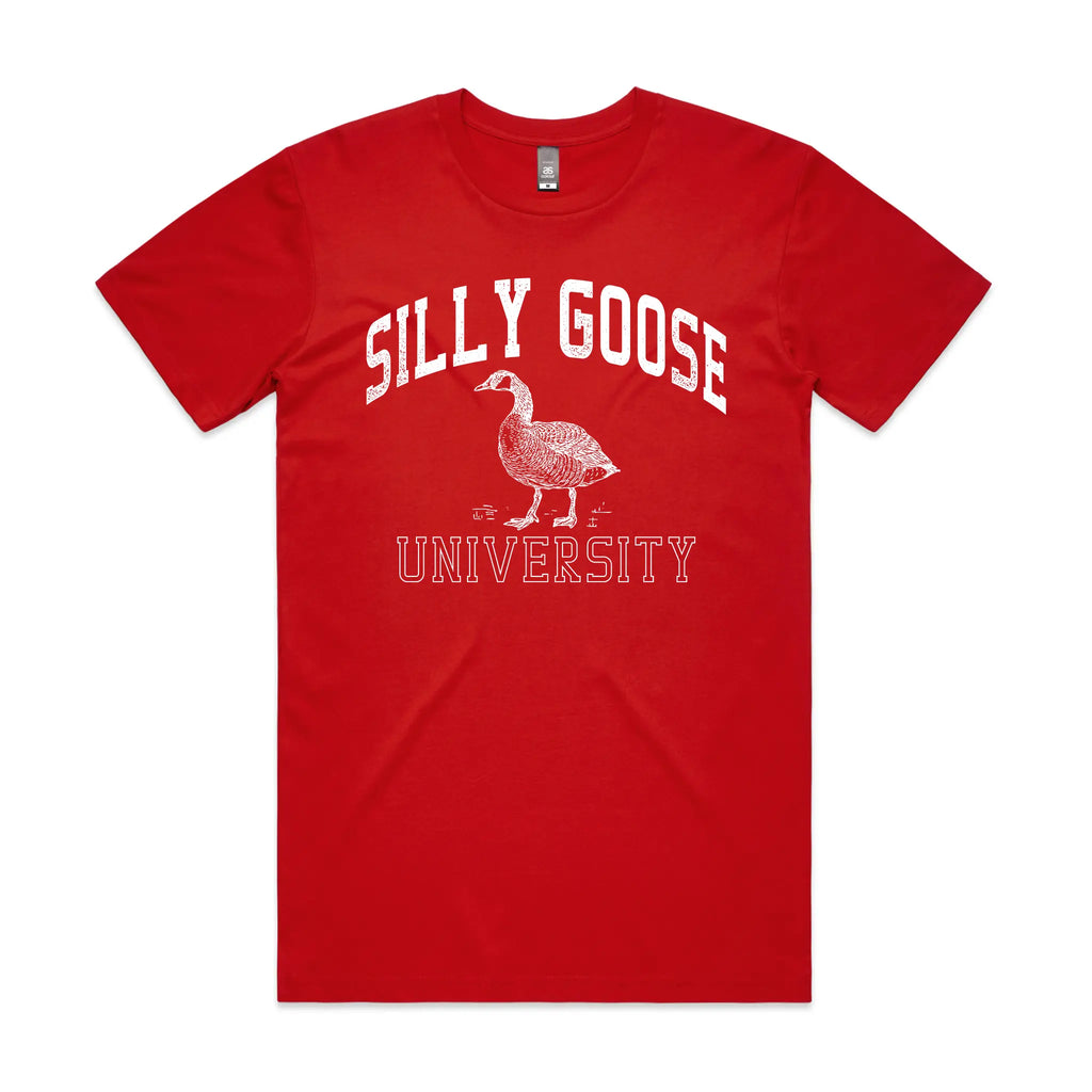 Silly Goose Tee Hoodie, Sweatshirt | CiraTrend.com (Image 3)