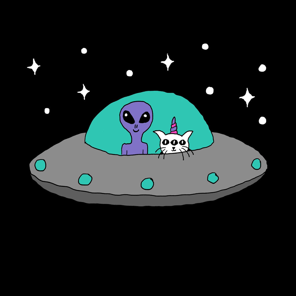 Space Cat Tee Hoodie, Sweatshirt | CiraTrend.com (Image 5)