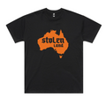 Stolen Land Oversized Charity Tee Hoodie, Sweatshirt | CiraTrend.com (Image 1)