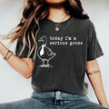 Today I'm A Serious Goose Tshirt, Funny Silly Shirt, Funny Goose T-Shirt, Gifts for Her, Funny Gifts Top Womenswear...