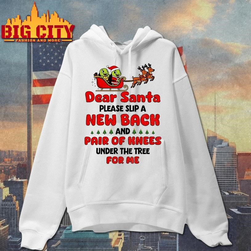 Turtle Santa Claus dear Santa please slip a new back and pair of knees under the tree for me Merry Christmas shirt
