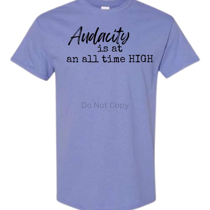 Unisex Size Audacity Is At An All Time High T Shirt - This is a completed Tee Hoodie, Sweatshirt | CiraTrend.com