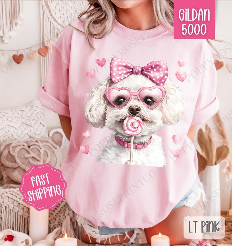 Valentine Bichon Shirt Gildan, Valentine's Day Women's Tee, Cute Women's Tshirt Plus Sizes Hoodie, Sweatshirt | CiraTrend.com