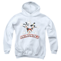 Animaniacs Animaniacs Trio - Youth Hoodie T-Shirts, Sweatshirt | CiraTrend.com