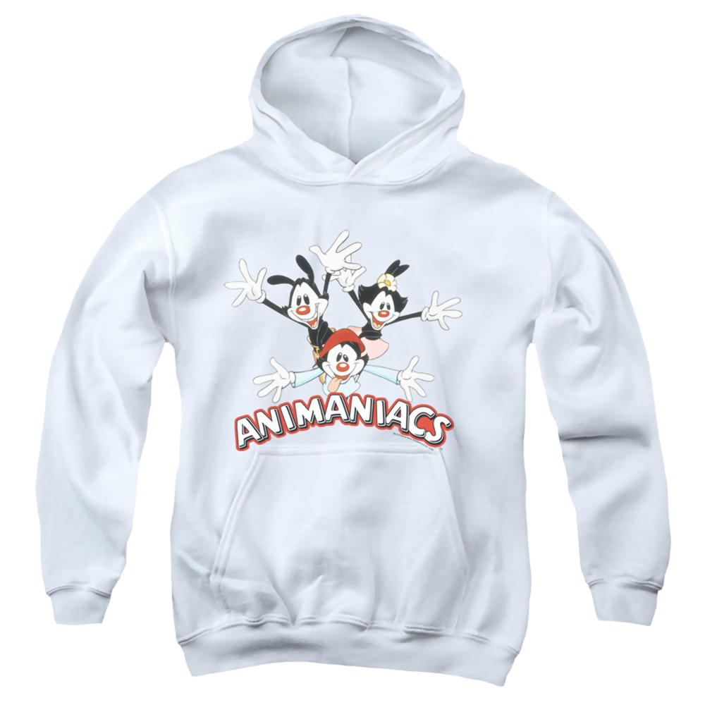 Animaniacs Animaniacs Trio - Youth Hoodie T-Shirts, Sweatshirt | CiraTrend.com