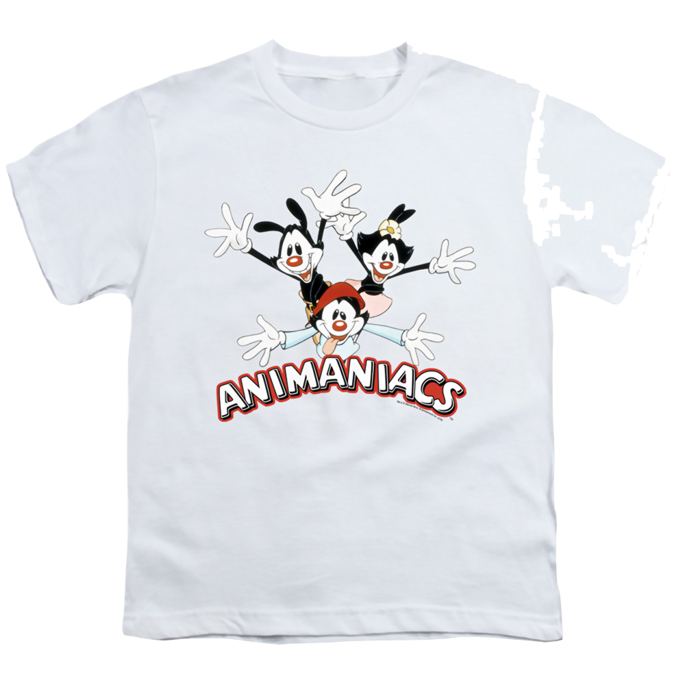 Animaniacs Animaniacs Trio - Youth T-Shirt Hoodie, Sweatshirt | CiraTrend.com