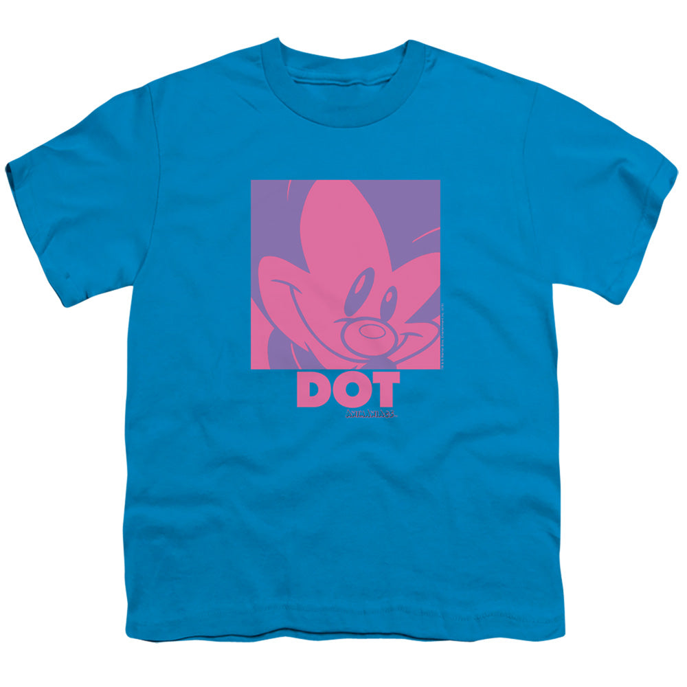 Animaniacs Pop Dot Kids Youth T Shirt Turquoise Hoodie, Sweatshirt | CiraTrend.com