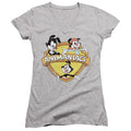 Animaniacs Shielded Animaniacs Junior Sheer Cap Sleeve V-Neck Womens T Shirt Athletic Heather Hoodie, Sweatshirt