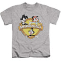 Animaniacs Shielded Animaniacs Juvenile Kids Youth T Shirt Athletic Heather Hoodie, Sweatshirt | CiraTrend.com