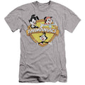 Animaniacs Shielded Animaniacs Slim Fit Mens T Shirt Athletic Heather Hoodie, Sweatshirt | CiraTrend.com