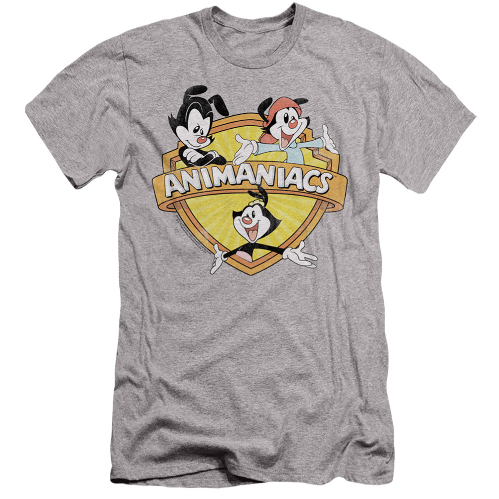 Animaniacs Shielded Animaniacs Slim Fit Mens T Shirt Athletic Heather Hoodie, Sweatshirt | CiraTrend.com