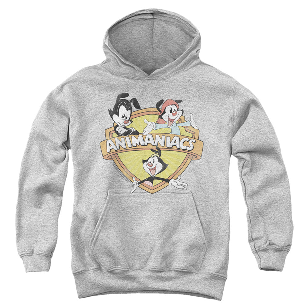 Animaniacs Shielded Animaniacs Kids Youth Hoodie Athletic Heather T-Shirts, Sweatshirt | CiraTrend.com