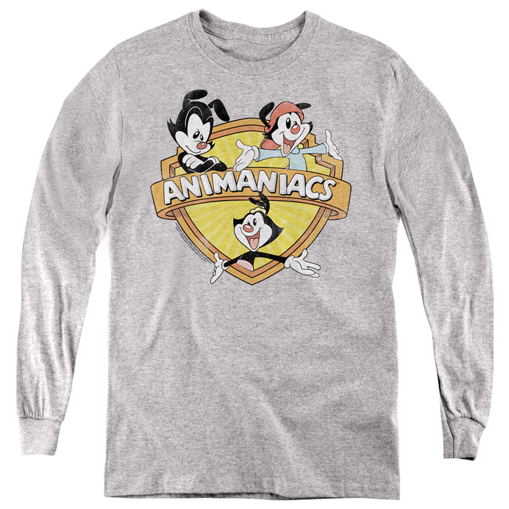 Animaniacs Shielded Animaniacs Long Sleeve Kids Youth T Shirt Athletic Heather Hoodie, Sweatshirt | CiraTrend.com