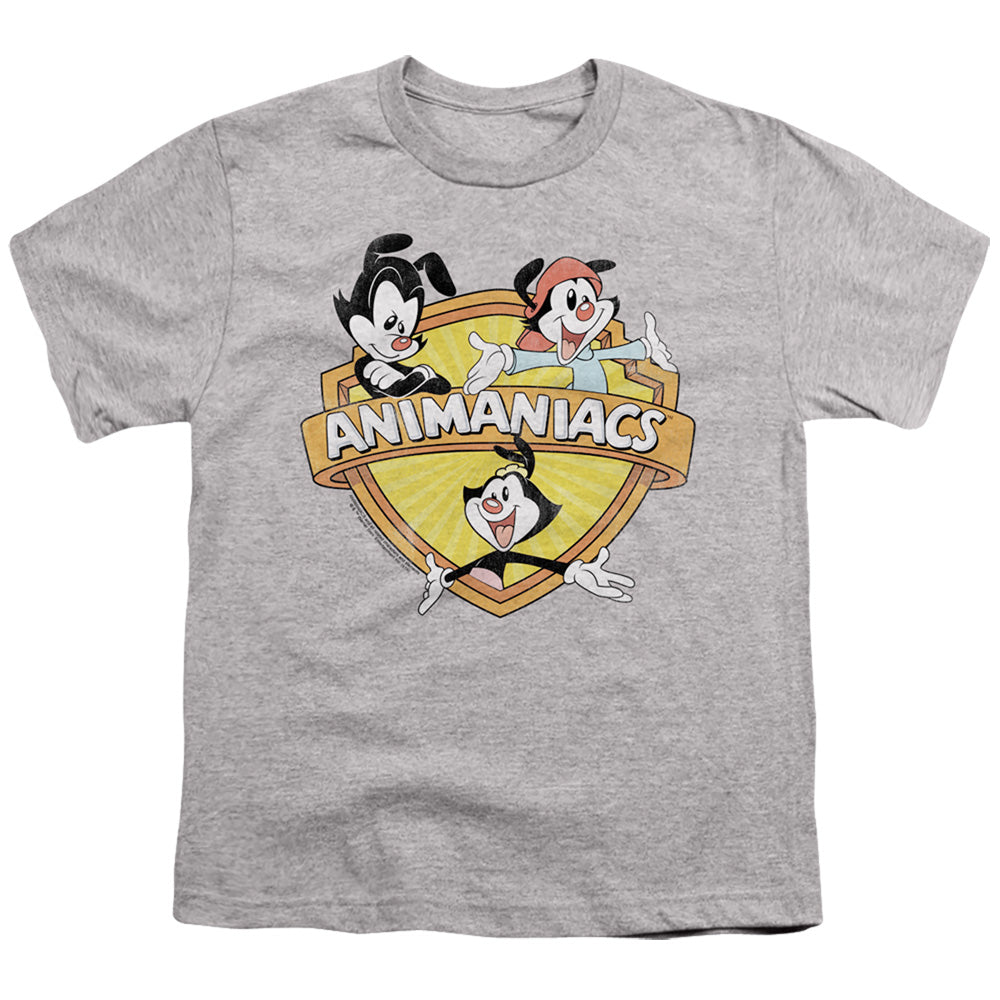 Animaniacs Shielded Animaniacs Kids Youth T Shirt Athletic Heather Hoodie, Sweatshirt | CiraTrend.com