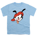 Animaniacs Wakko Head - Youth T-Shirt Hoodie, Sweatshirt | CiraTrend.com