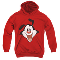 Animaniacs Yakko Head - Youth Hoodie T-Shirts, Sweatshirt | CiraTrend.com